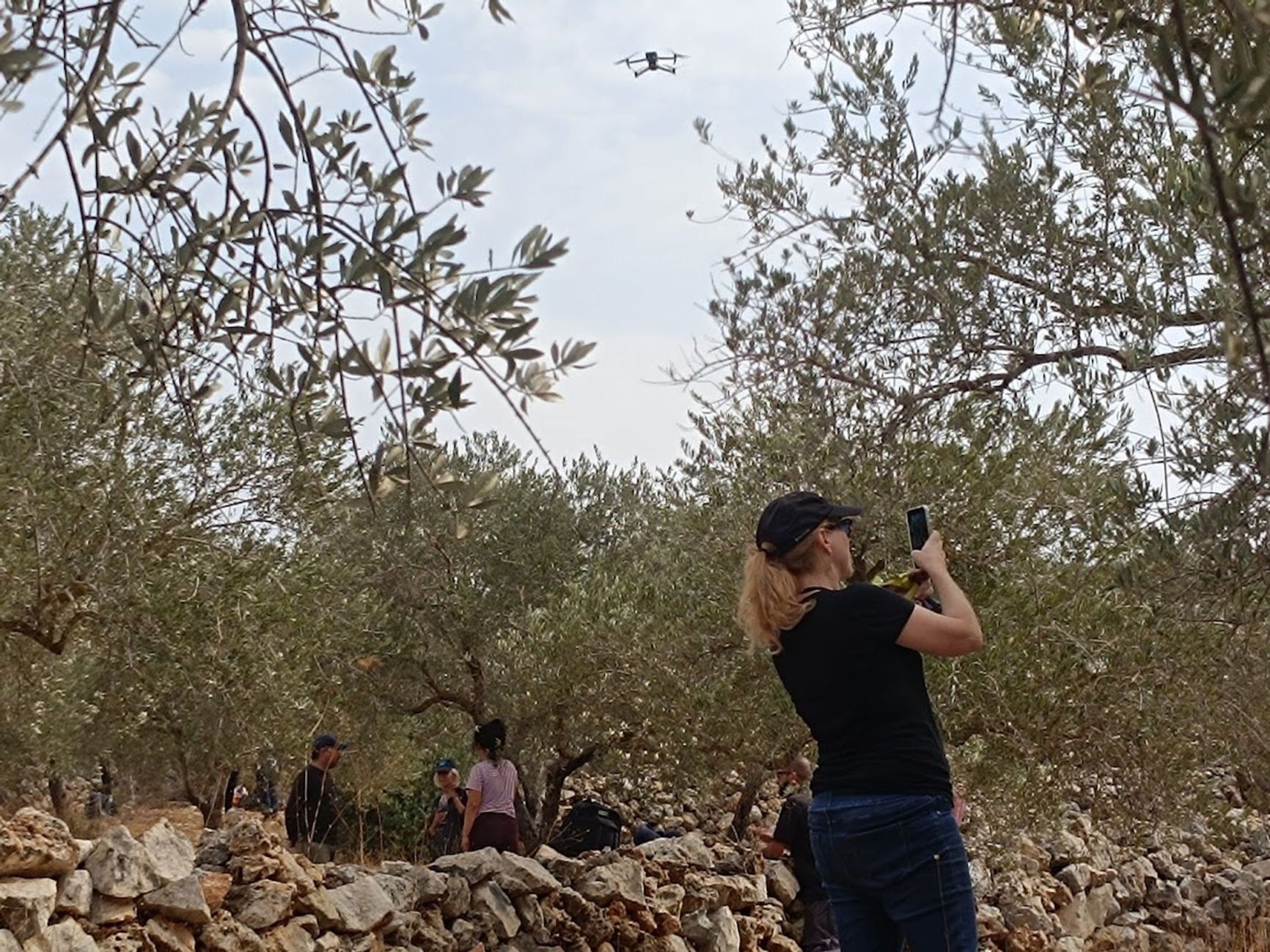 An unidentified drone over a Palestinian olive grove