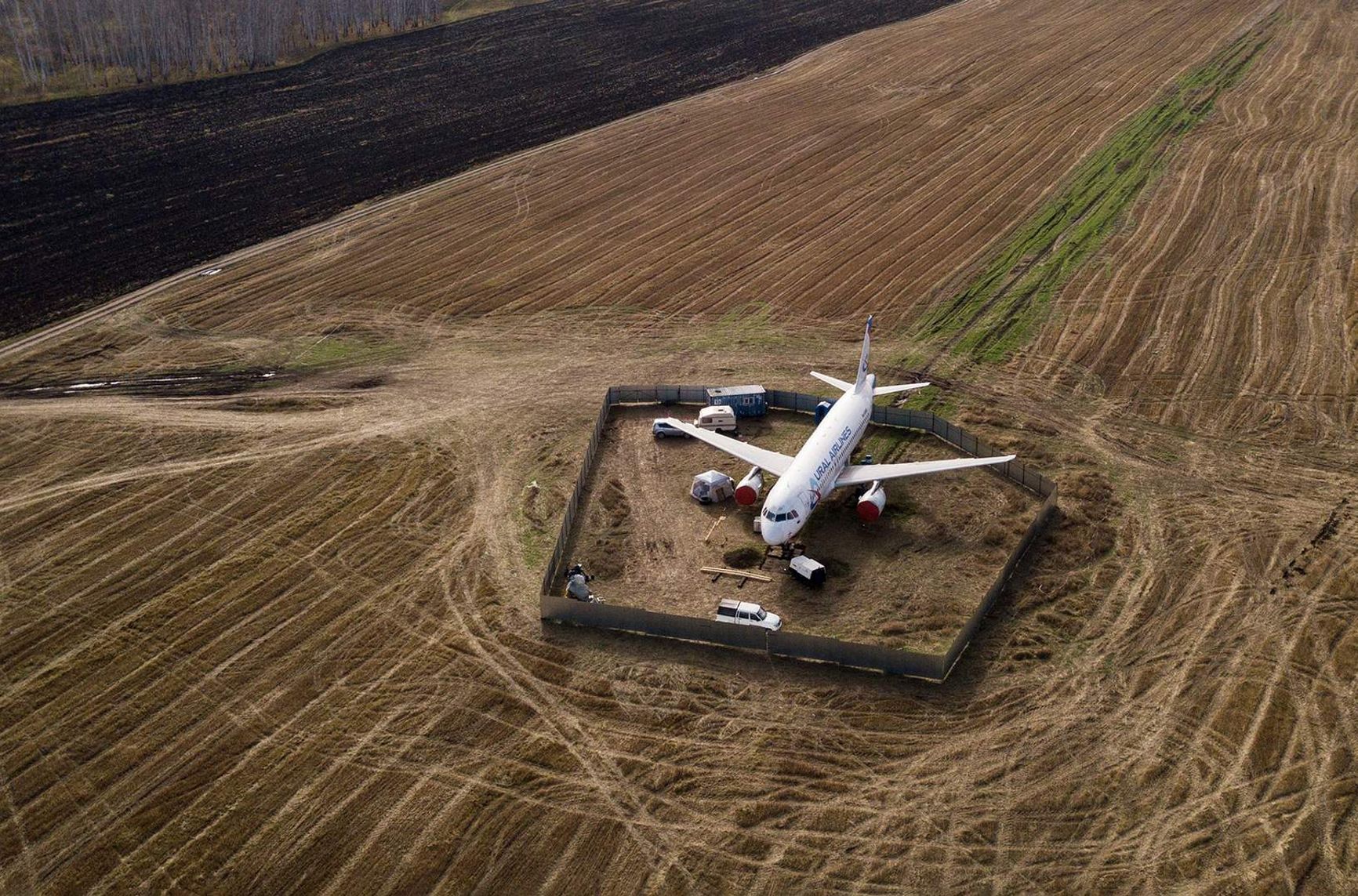 Вынужденная посадка Airbus A320 «Уральских авиалиний» в пшеничном поле под Новосибирском 